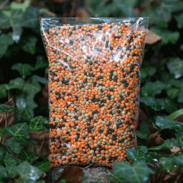 faki-anamikti