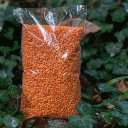 faki-kokini
